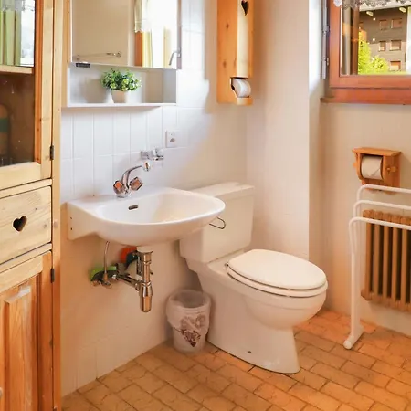 25 By Interhome Apartment Champex-Lac